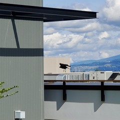 Mr.Bear Live @ Planet Earth