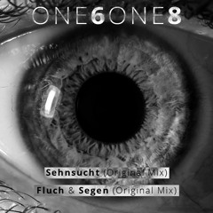 Fluch & Segen (Original Mix)
