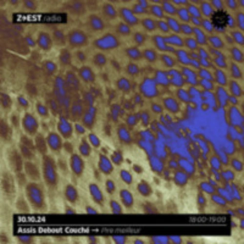 Assis Debout Couché - Pire meilleur Soundcloud podcast image for