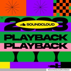Pleochroicist - 2023 Playback