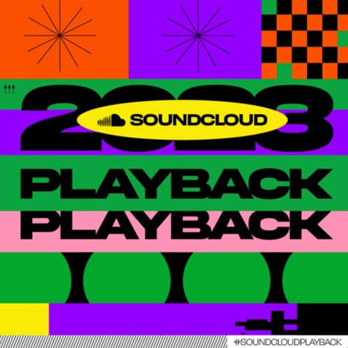 Pleochroicist - 2023 Playback