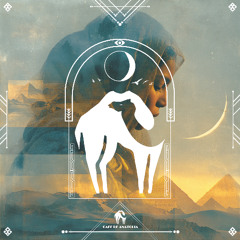 Mirage - Tamer ElDerini and Ersin Ersavas