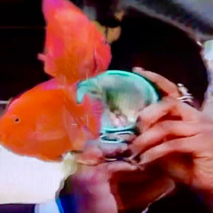 peace - converse [maxo remix]