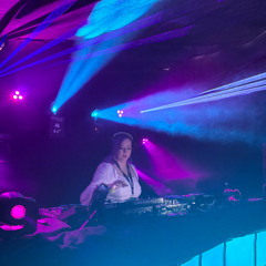 DJ Line Engstrøm LIVE @ Roggi festival, Storfjord - Anjunatheme mix - Friday 08.08.2025