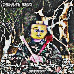 Skinwalker Forest (Prod. 1hevon)