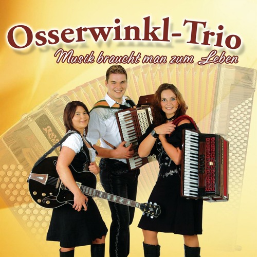 Kleiner Harmonikaspieler (Radio Mix)