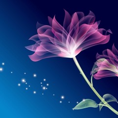NLS - 2023 - 05 - 17 Pause