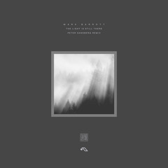 The Light Is Still There (Peter Sandberg Remix)