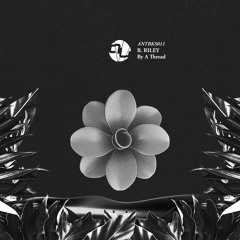 B. Riley - Not In Zone