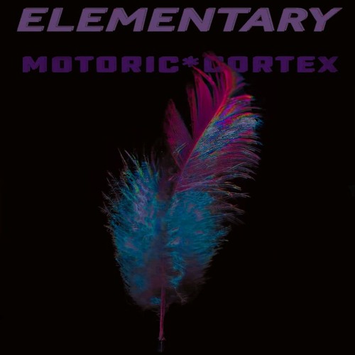 MOTORIC*CORTEX ELEMENTARY 05172025 SEKTOR-EVOLUTION