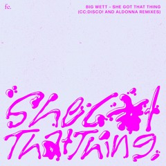 PREMIERE : BIG WETT - She Got That Thing (Aldonna Remix)