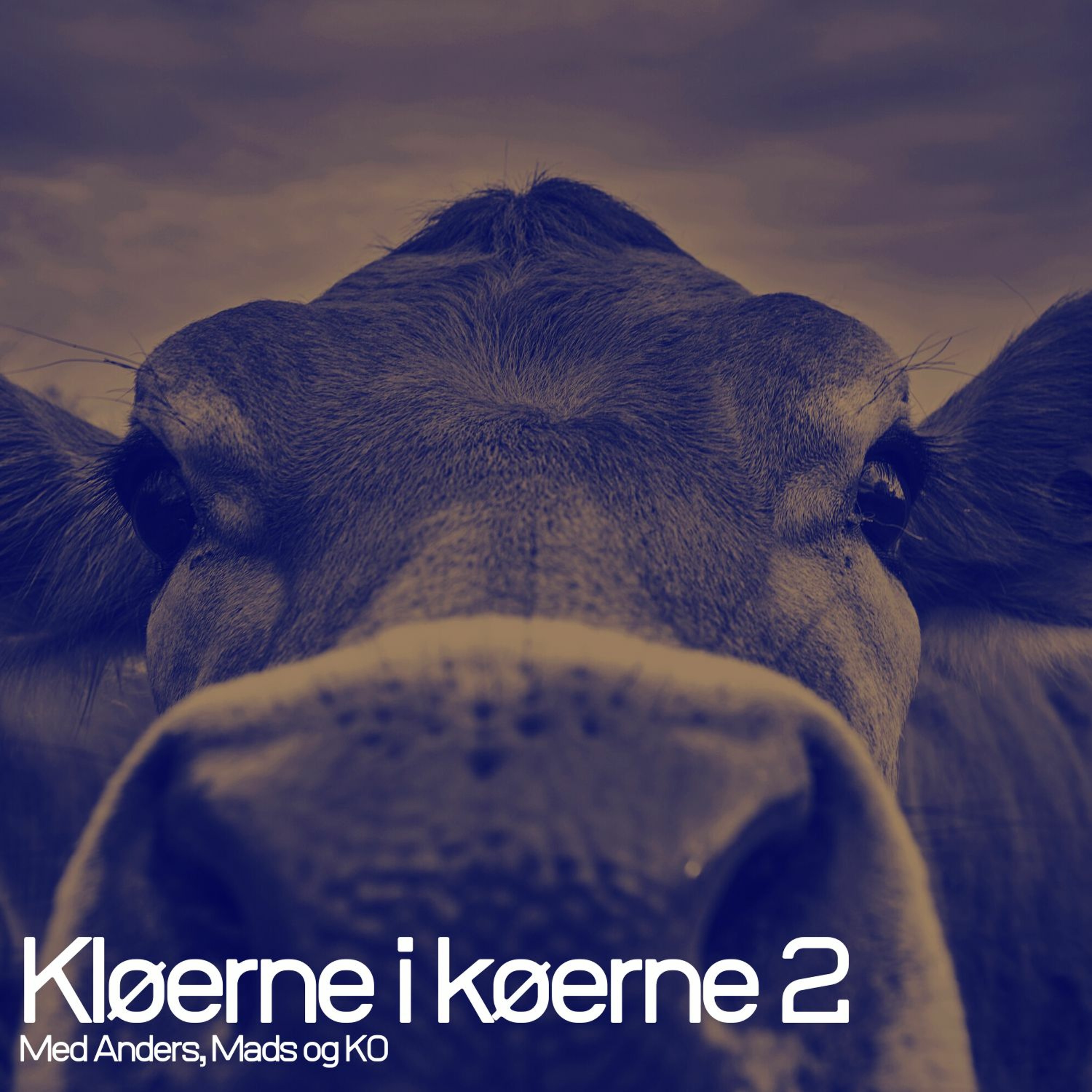 Kløerne i køerne 2 – Episode 31: Politisk teaser og øko-update med Jens