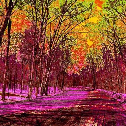 Snow Angels (Jan. 2022)