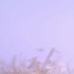 fog_throughout_the_sky_148.wav