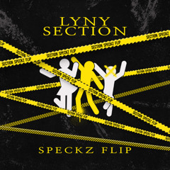 LYNY - SECTION (SPECKZ FLIP)