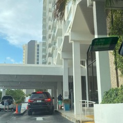 Down In Miami