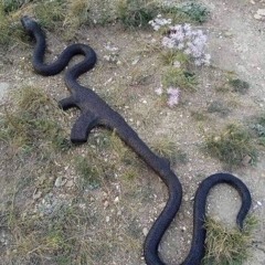 279Tyler + Xeraki - Versace Snake (Gioshawty + Edo) [ALL GAS RADIO EXCLUSIVE]