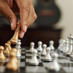 Playing Chess