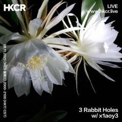 3 Rabbit Holes w/ x1aoy3 - 08/11/2023