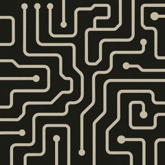Shadow Circuit