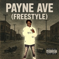 Payne ave(Freestyle)