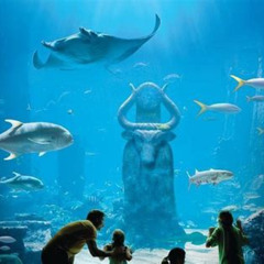Review Special Price Skip The Line Discover Atlantis Ticket