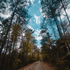 So Easy (To Fall In Love) (Olivia Dean Cover)