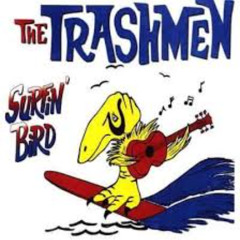 bird is the word (smokingskunk77)