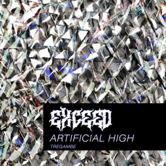 Premiere: Exceed - Artificial High [TREG023]
