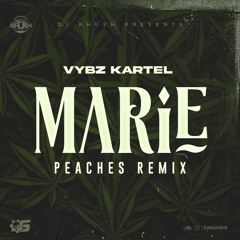 DJ-RHUSH❌VYBZ KARTEL - MARIE (PEACHES REMIX)