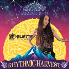 Ninjette - Paradise Music Festival 2024