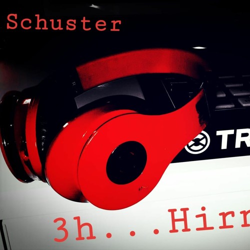 Schuster - 3Stunden Hirn Weg