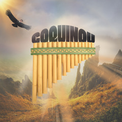 Coquinou (ft. Eloy Spinnler)