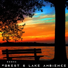 528Hz | DNA Upgrades From Nature | Forest & Lake Ambience | Love