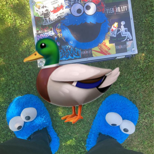 Die Hängbleibende Bunker-Ente