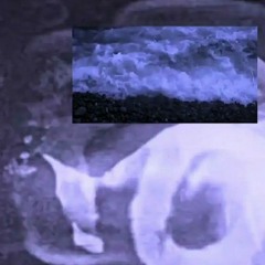 FL3XB0$$ X SKKULY - C0LD W0RLD (PROD.YUNGMEXICANBIH)