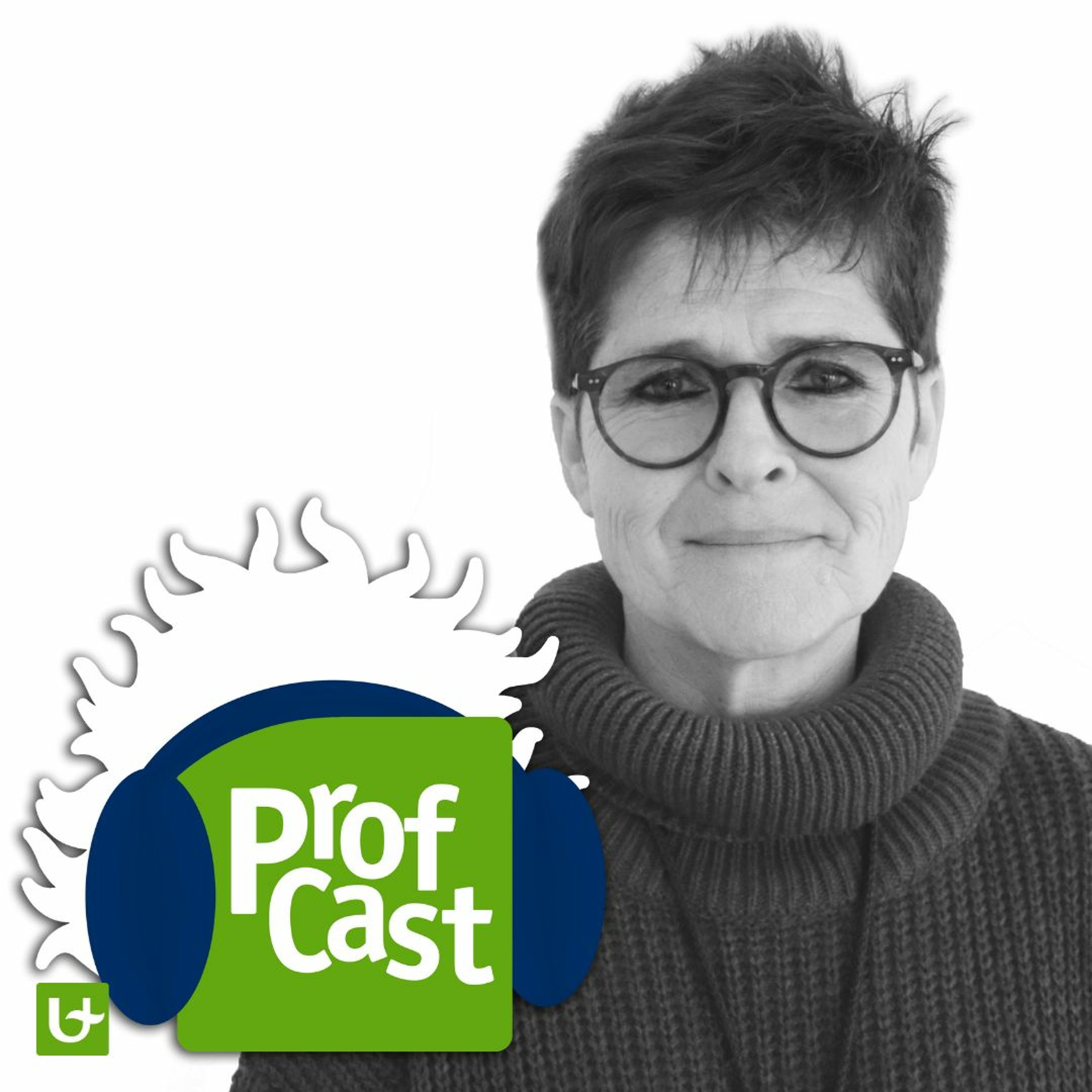 Profcast