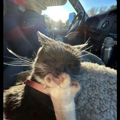 nvr g0na heal  p. uv6x7