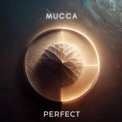 Mucca - Perfect (Original Mix)