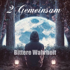 2Gemeinsam - Bittere Wahrheit