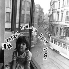 matildoutz l 48 Katzen... tanzen auf'm Tisch l KATERBLAU - Extra Extra