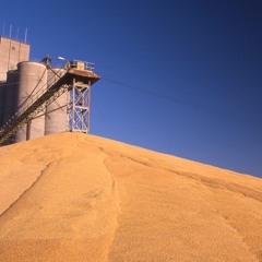 July - 14 - 2020 - Farm - Progress - America