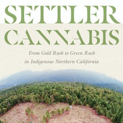 The Living Histories of Lahaina and Cannabis: From Gold Rush to Green Rush