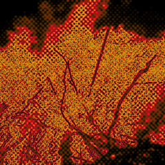 Dance Of Embers // Ashes