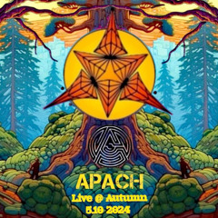 APACH - Live @ Autumn 05.10.2024 Crash Freiburg