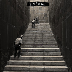 insane (acidcore