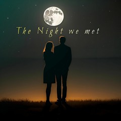 The Night We Met-Instrumental