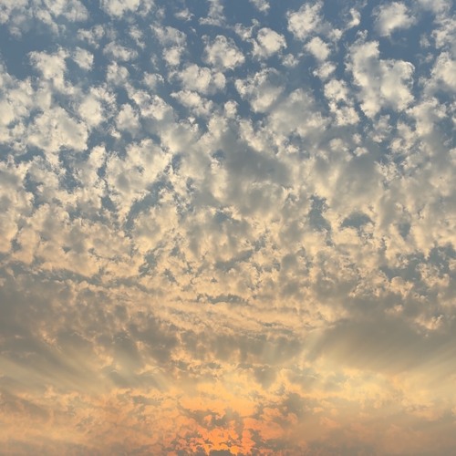 crash (prod.gusuk)
