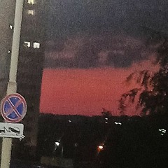 bloody sunset
