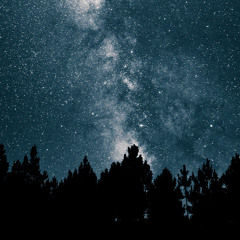 Bend Ecstatic Dance 11-18-25